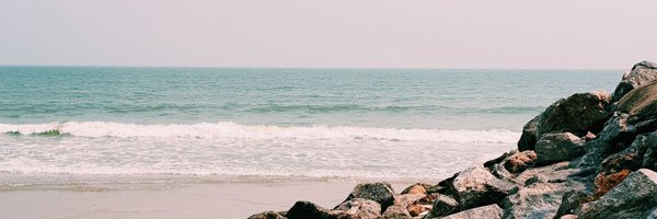 chaixpapi Profile Banner