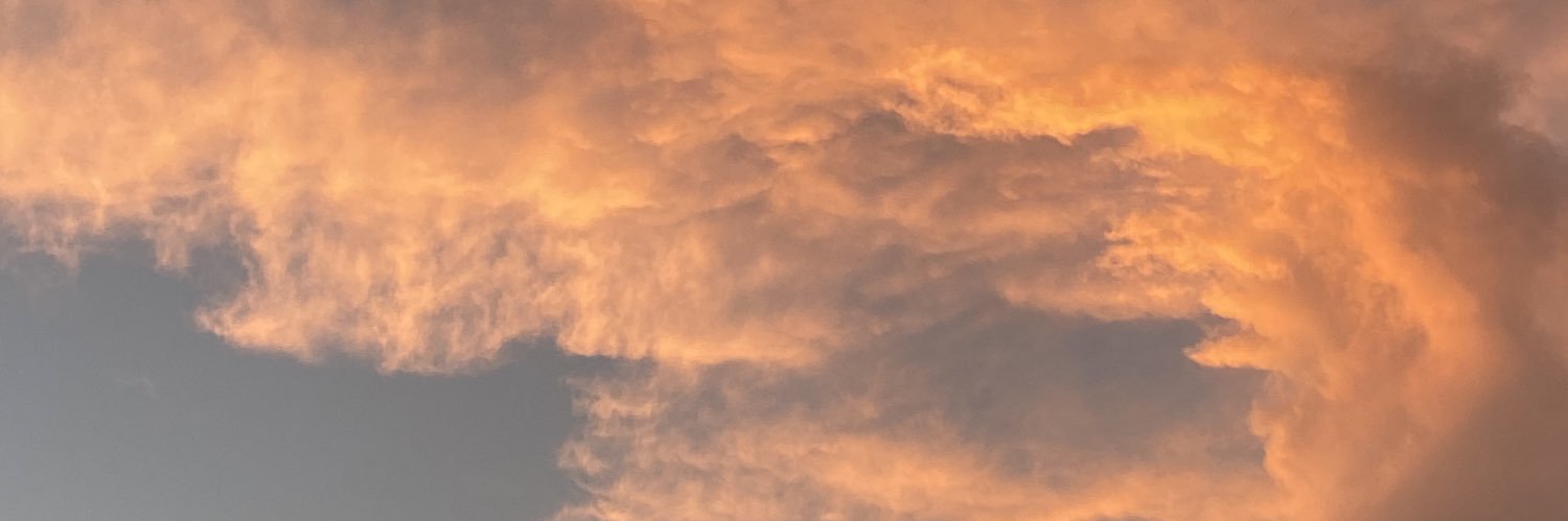 PolyChavarriaa's profile banner image