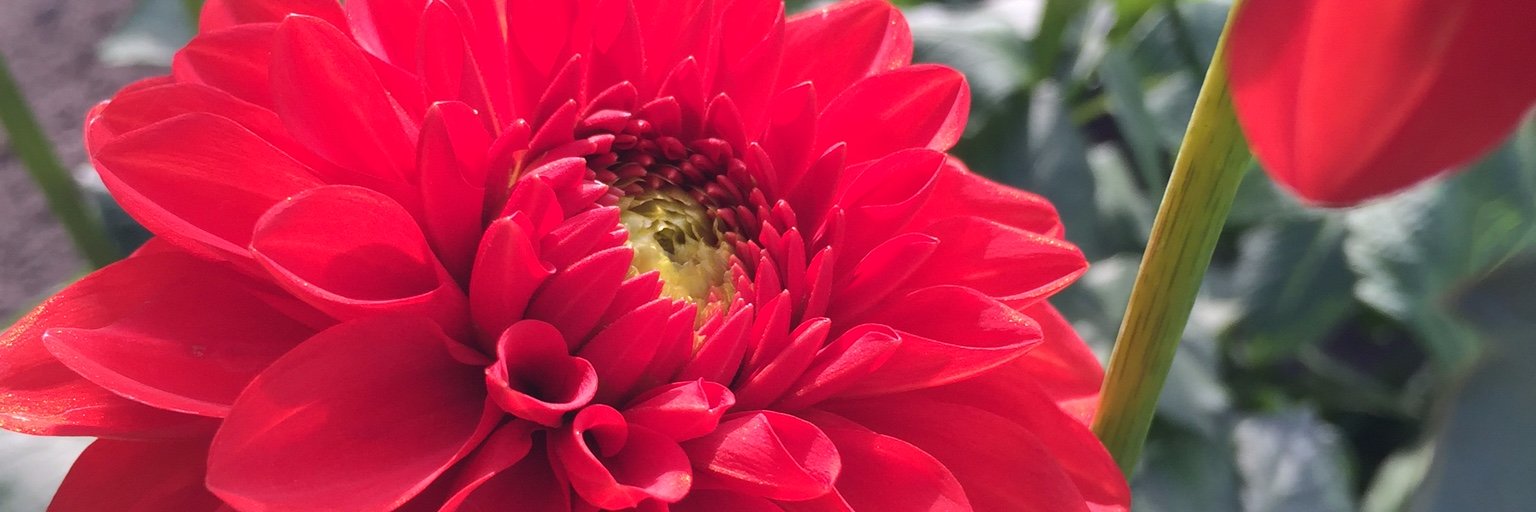 MOHRwc's profile banner image