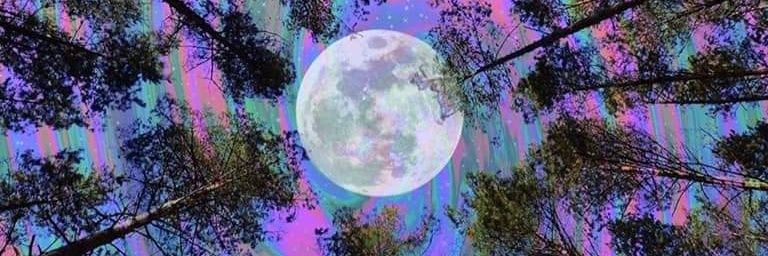 srvtest's profile banner image
