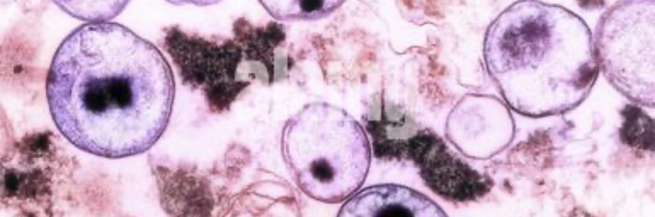 Jason Ai. Williams banner