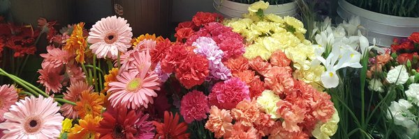 danielawt Profile Banner