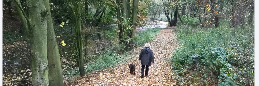 noreen mcglen 🇬🇧🇬🇧Reform UK. banner