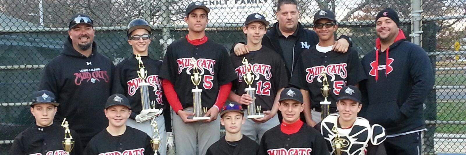 limudcats's profile banner image