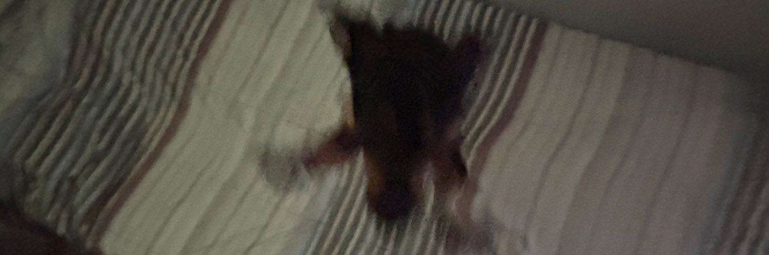 BonessoAndres's profile banner image