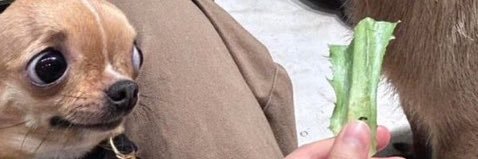 rseballs's profile banner image