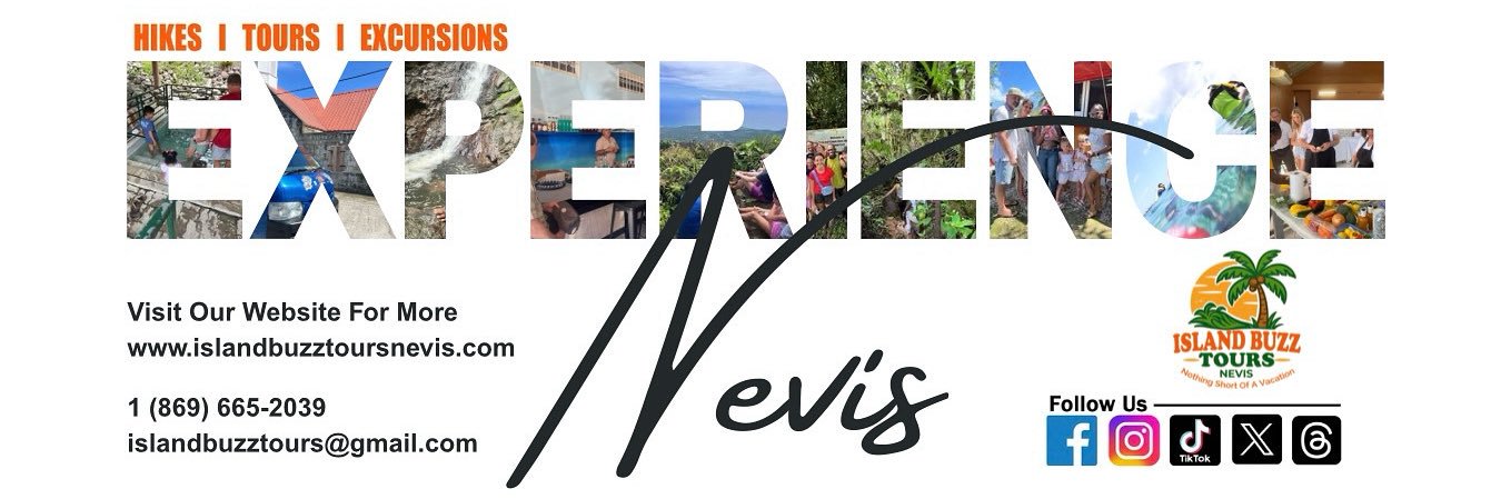 islandbuzztours's profile banner image