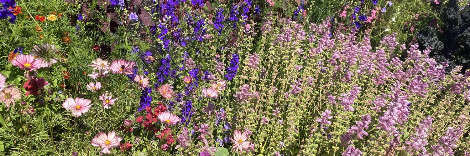 Jess Gray🦋 banner