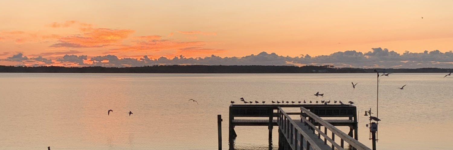 Emily Bernhardt banner