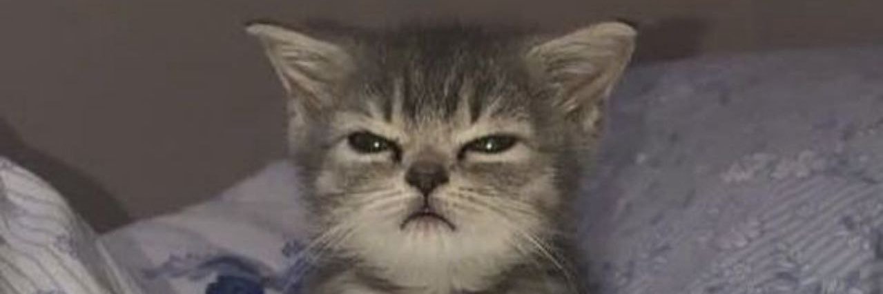 Saaalviaaa's profile banner image