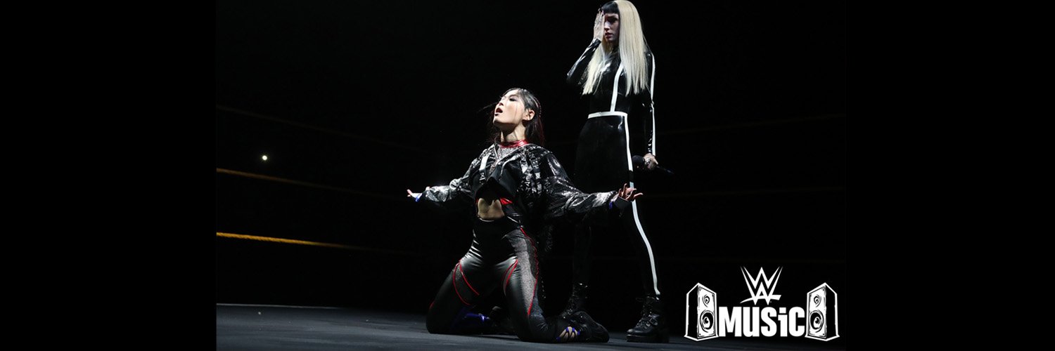 WWE Music Group's banner