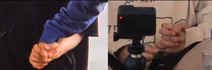 🌺🌜🌞TIGER LILY🐰🐥💜💛 banner