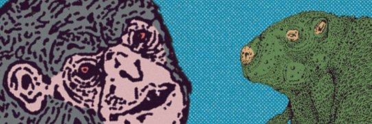 RareCrypTom's profile banner image