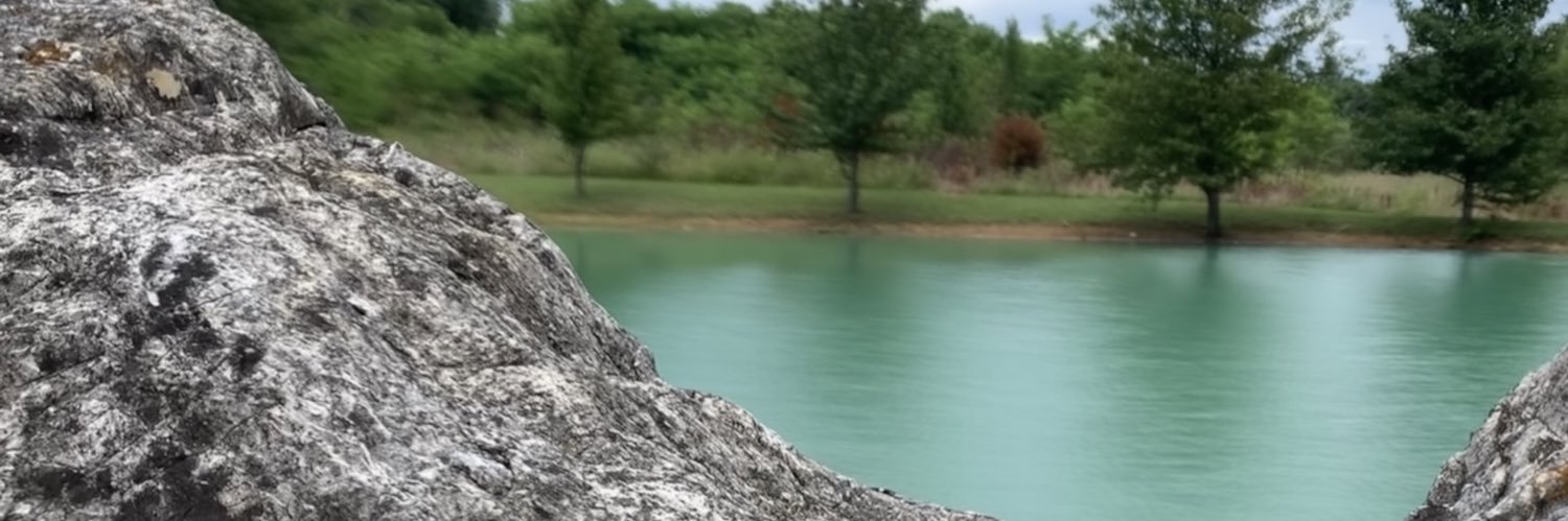 lookingforlizzy's profile banner image