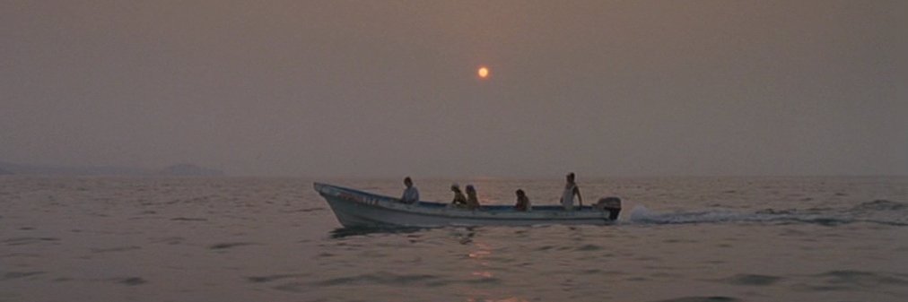 Chloe Xiang 向舒锦 banner