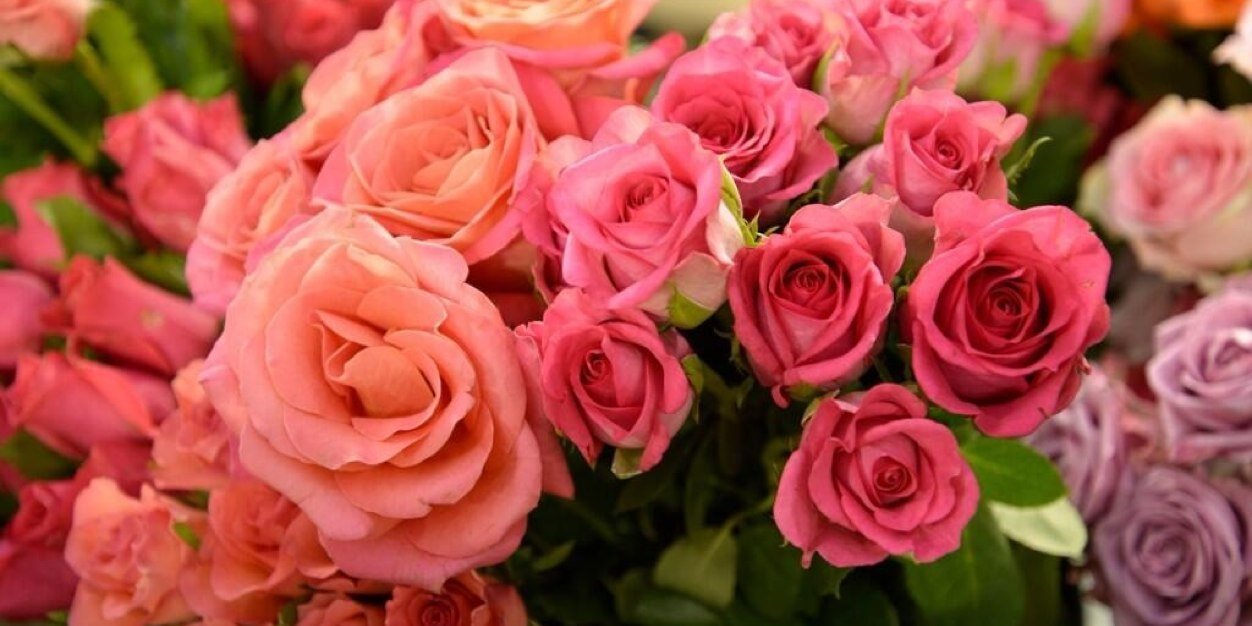 神戸のにゃん(にゃん改め) banner