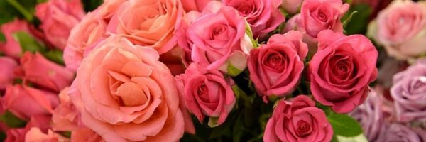 K615Sweet Profile Banner