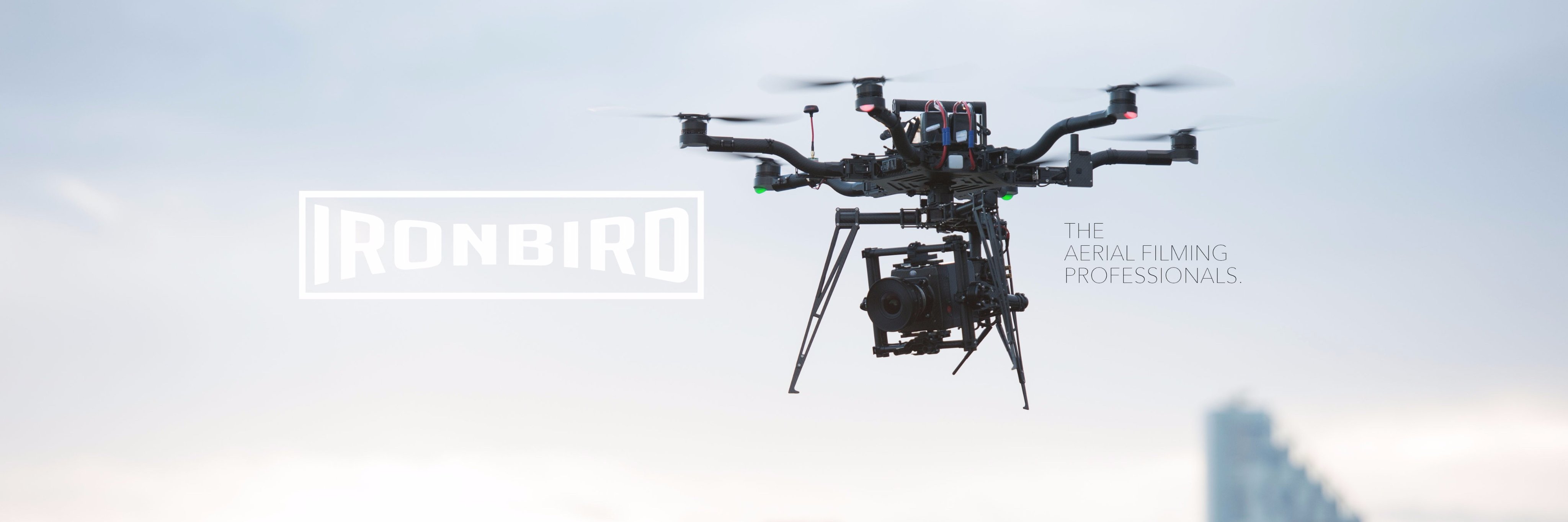 IronBird banner
