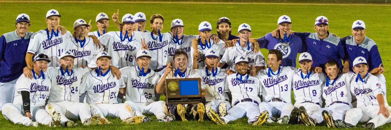Red Wing Baseball banner