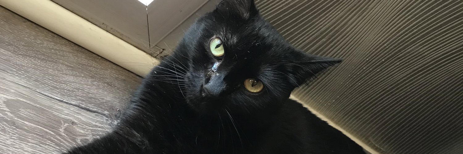 Lucousillas's profile banner image