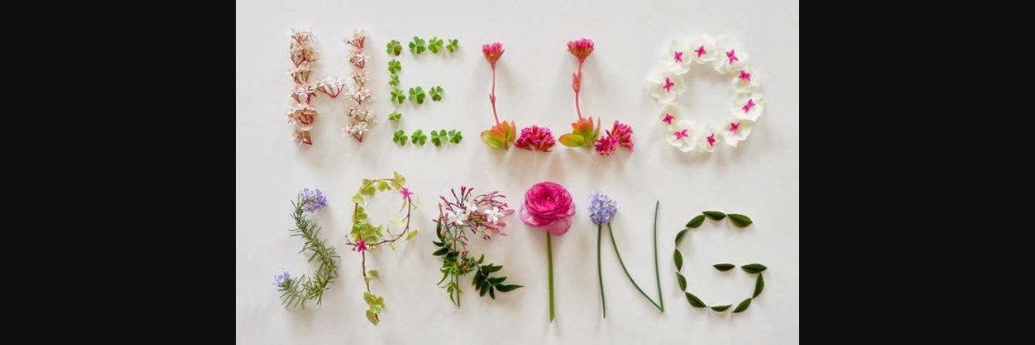PickeringRachel's profile banner image