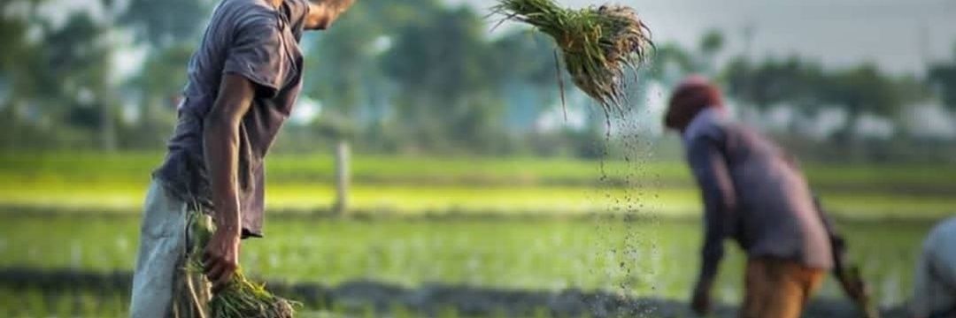 Samindhar🏹 banner