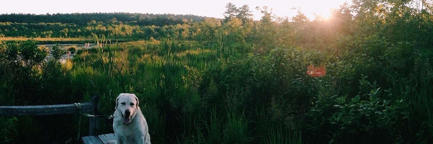 kyralowenberg's profile banner image