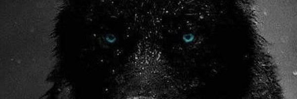 Alpha Jay 84k (Straight Alpha) Cashmaster banner