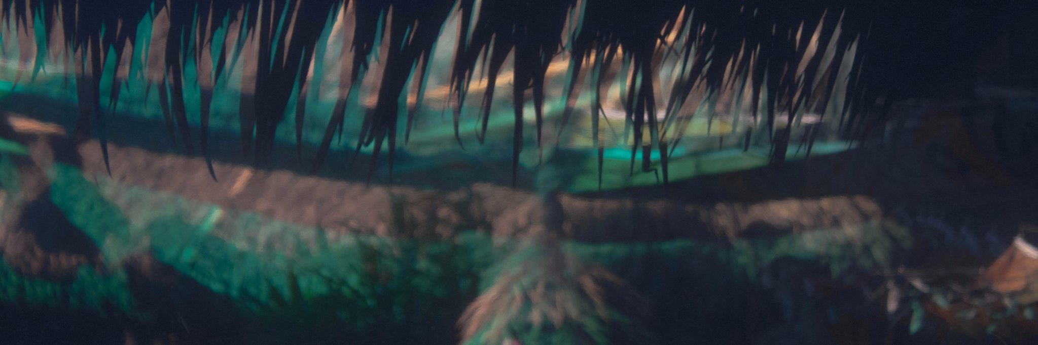 Joshua Schultz banner