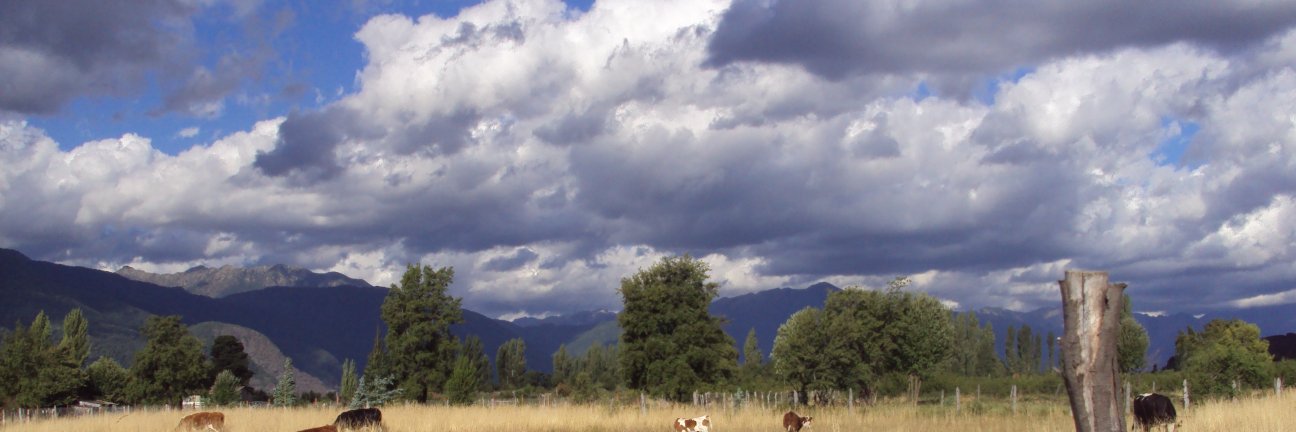 Natt_Belen's profile banner image