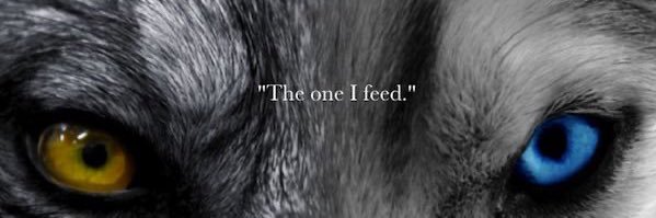 Rogerio_GyE's profile banner image