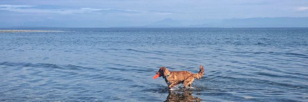 ThatJenK Profile Banner