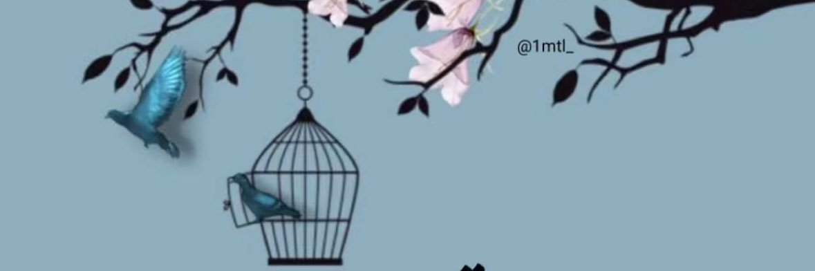 🦋 Al_Rayan_ banner