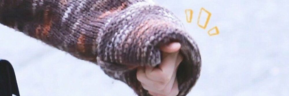 COW819's profile banner image
