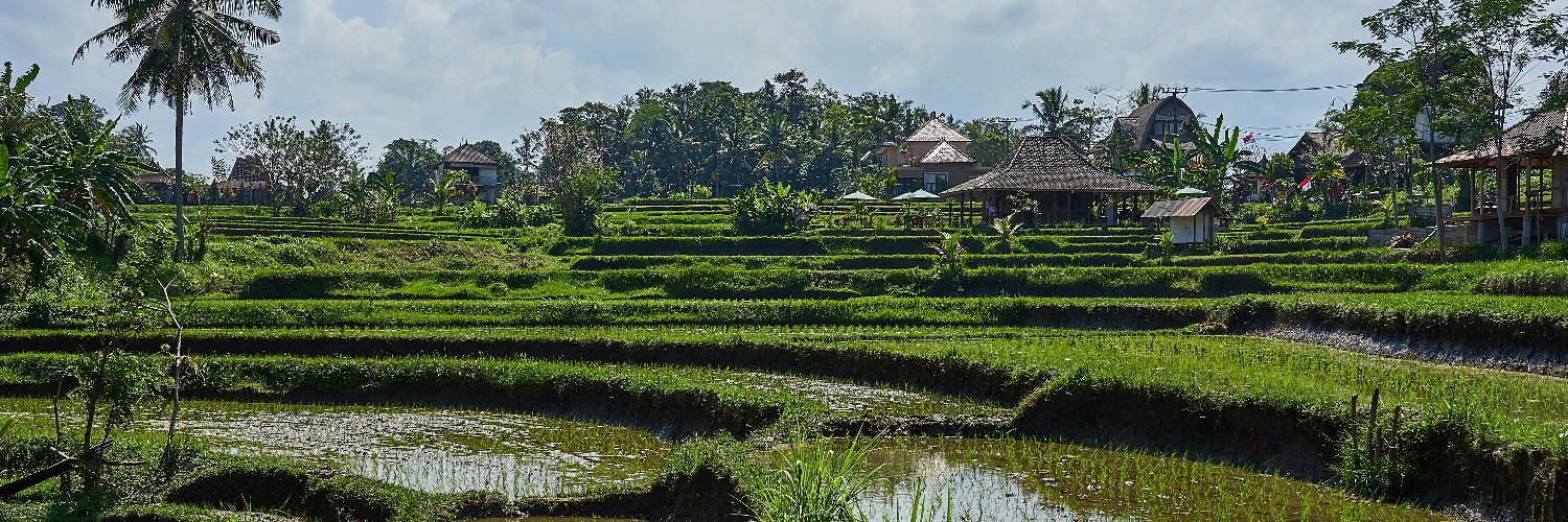 Christophe D. Lav. banner