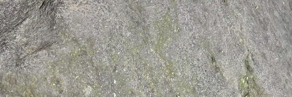 itsnayas's profile banner image