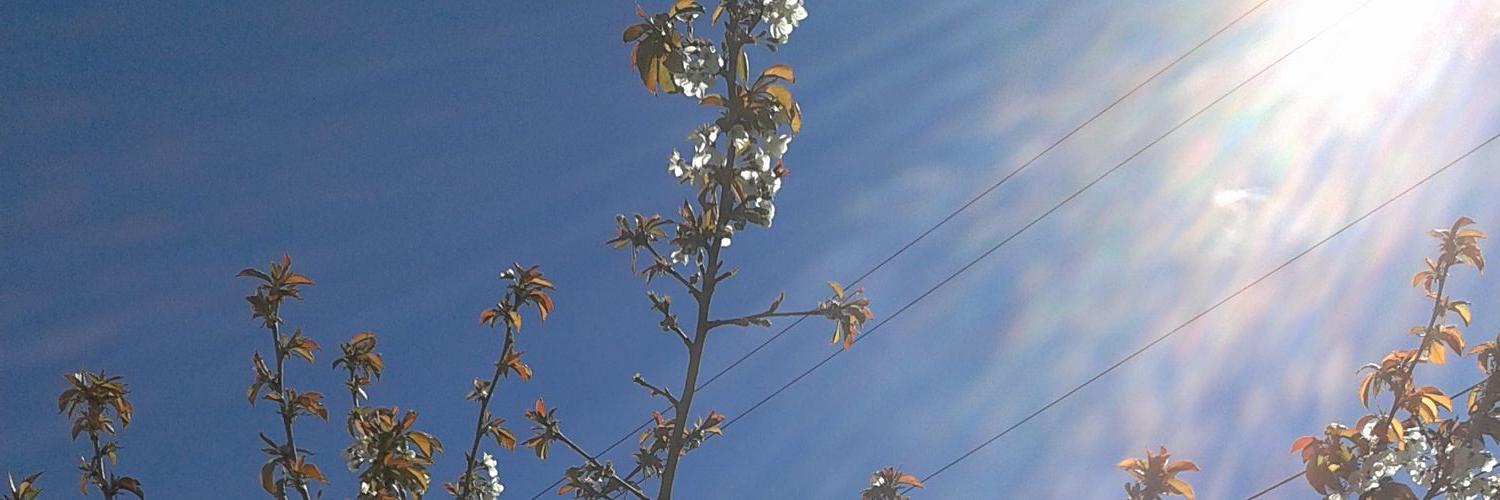 torresnicolas's profile banner image