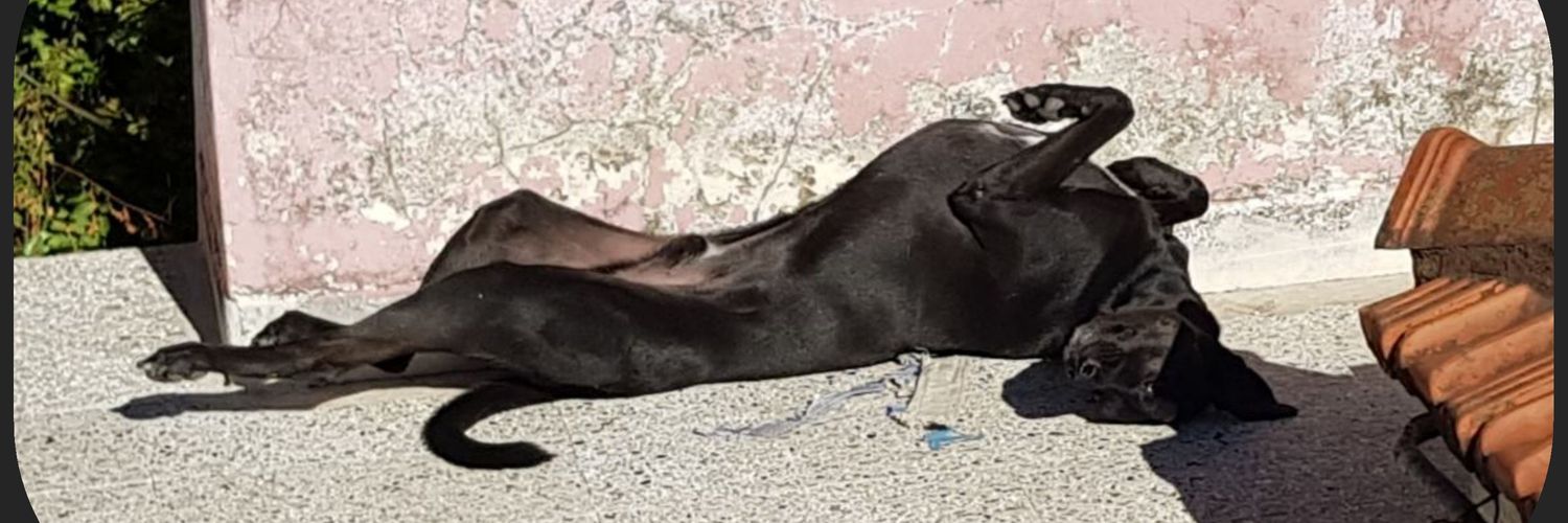 Fabricio Glibota banner