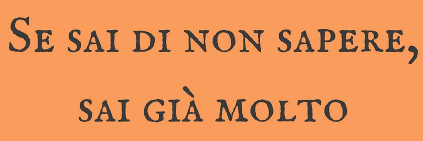 EmaMinorini's profile banner image