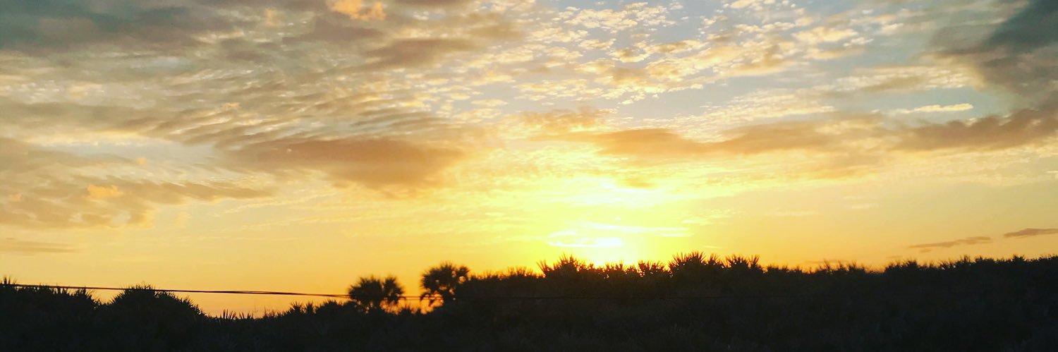 patsnrn's profile banner image