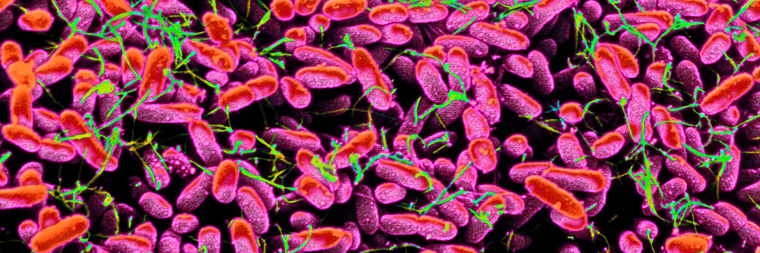 The Lancet Microbe banner