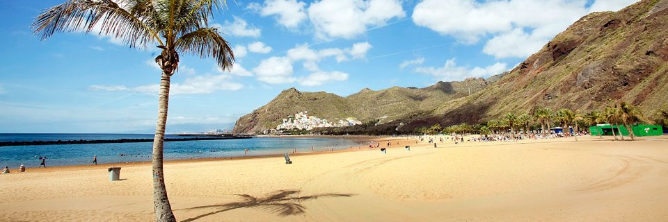 Veronique Smits banner