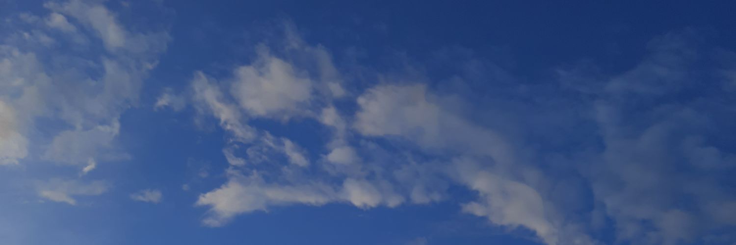 moonrjin's profile banner image