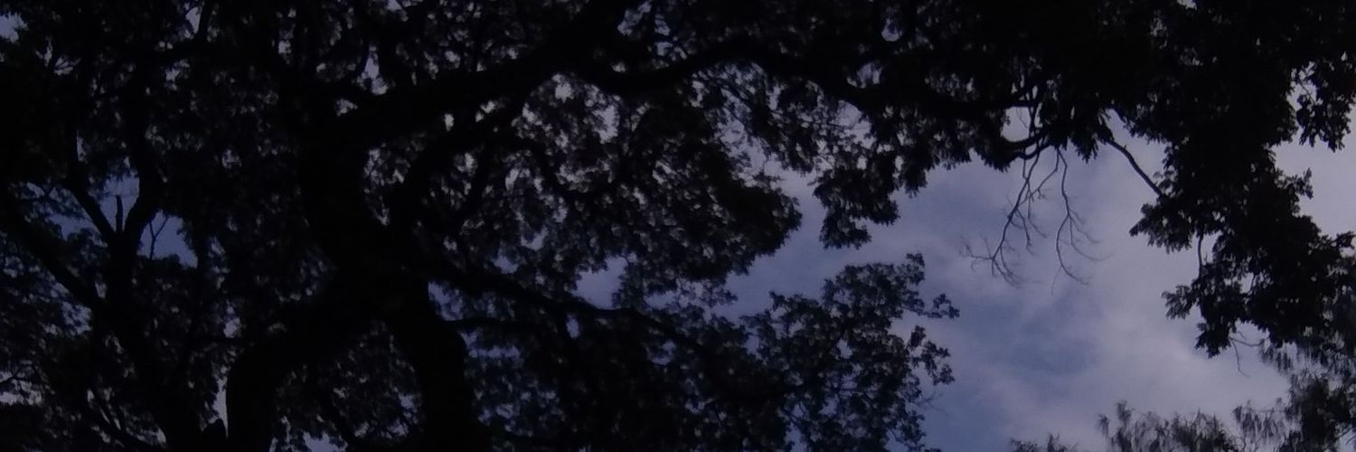 a£li banner