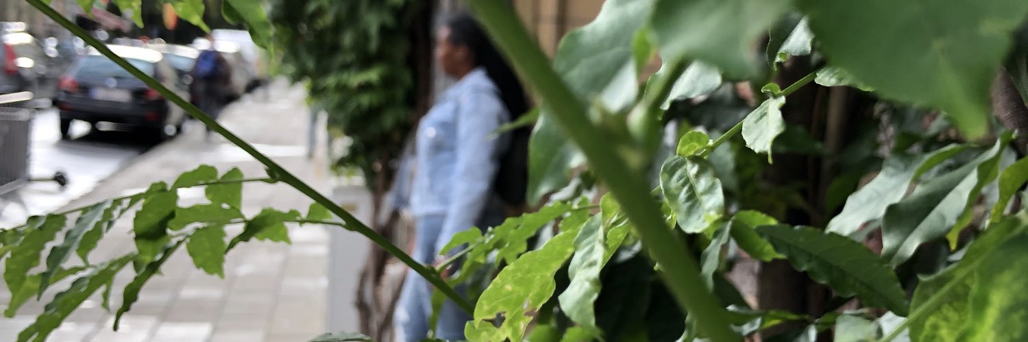 stefneeSteph's profile banner image