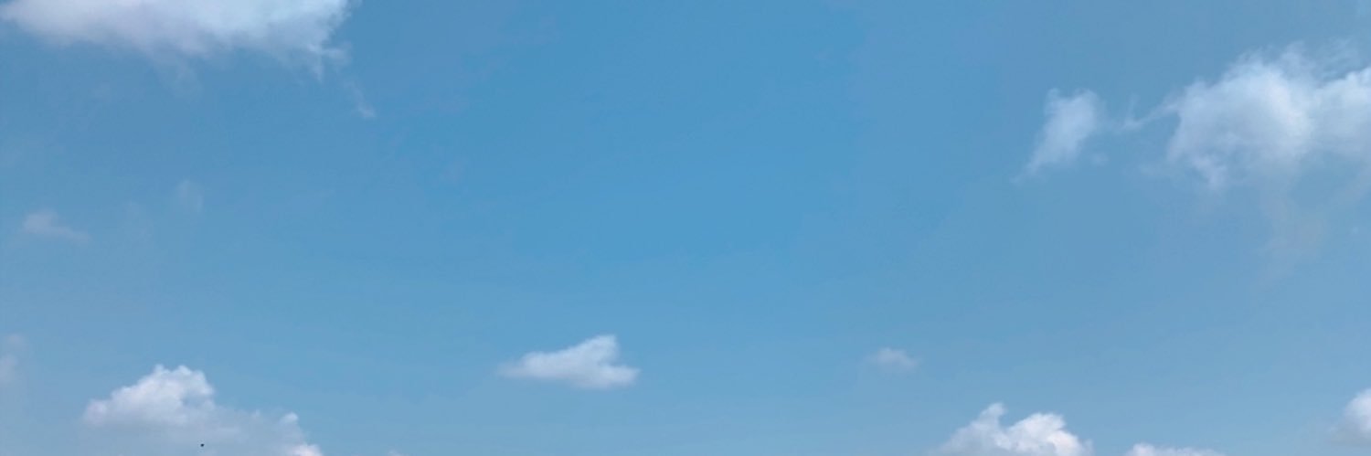 Cica banner