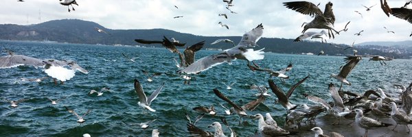 zeynepaslan94 Profile Banner