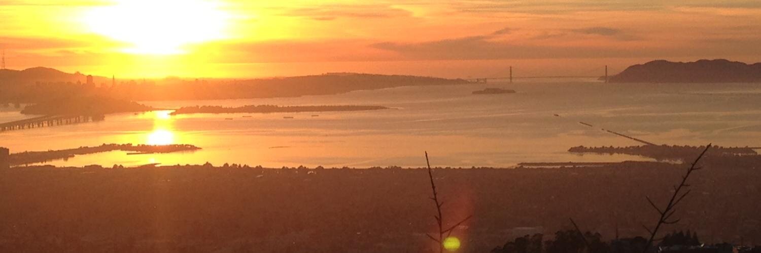 Amanda Walter banner