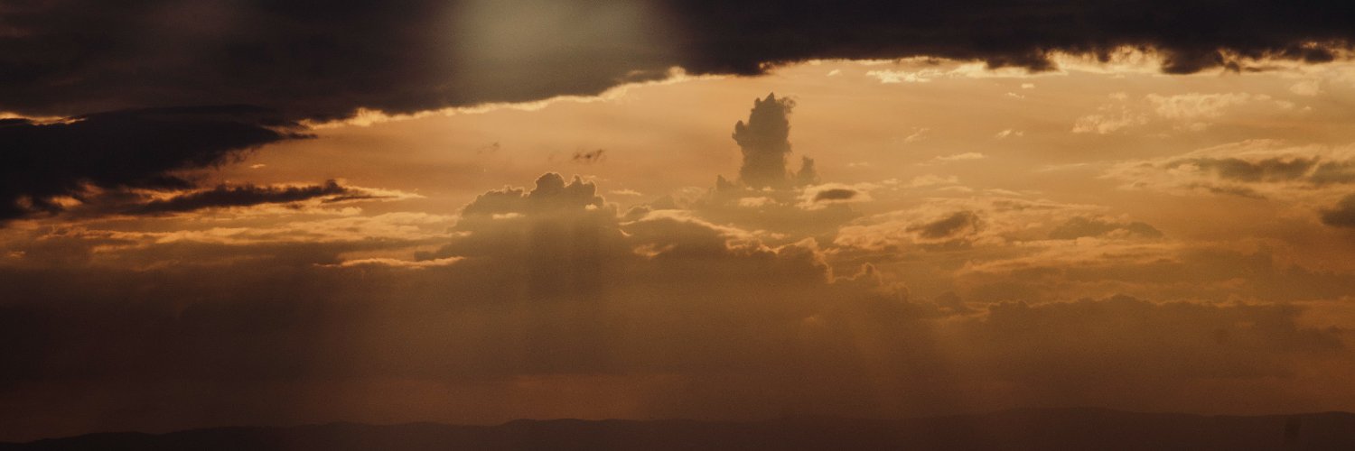 Герман Боссе banner