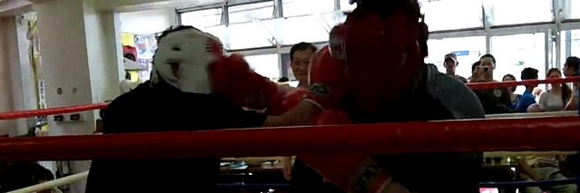 トラトラ＠シバ🥊🚴‍♀️💪 多趣味 banner